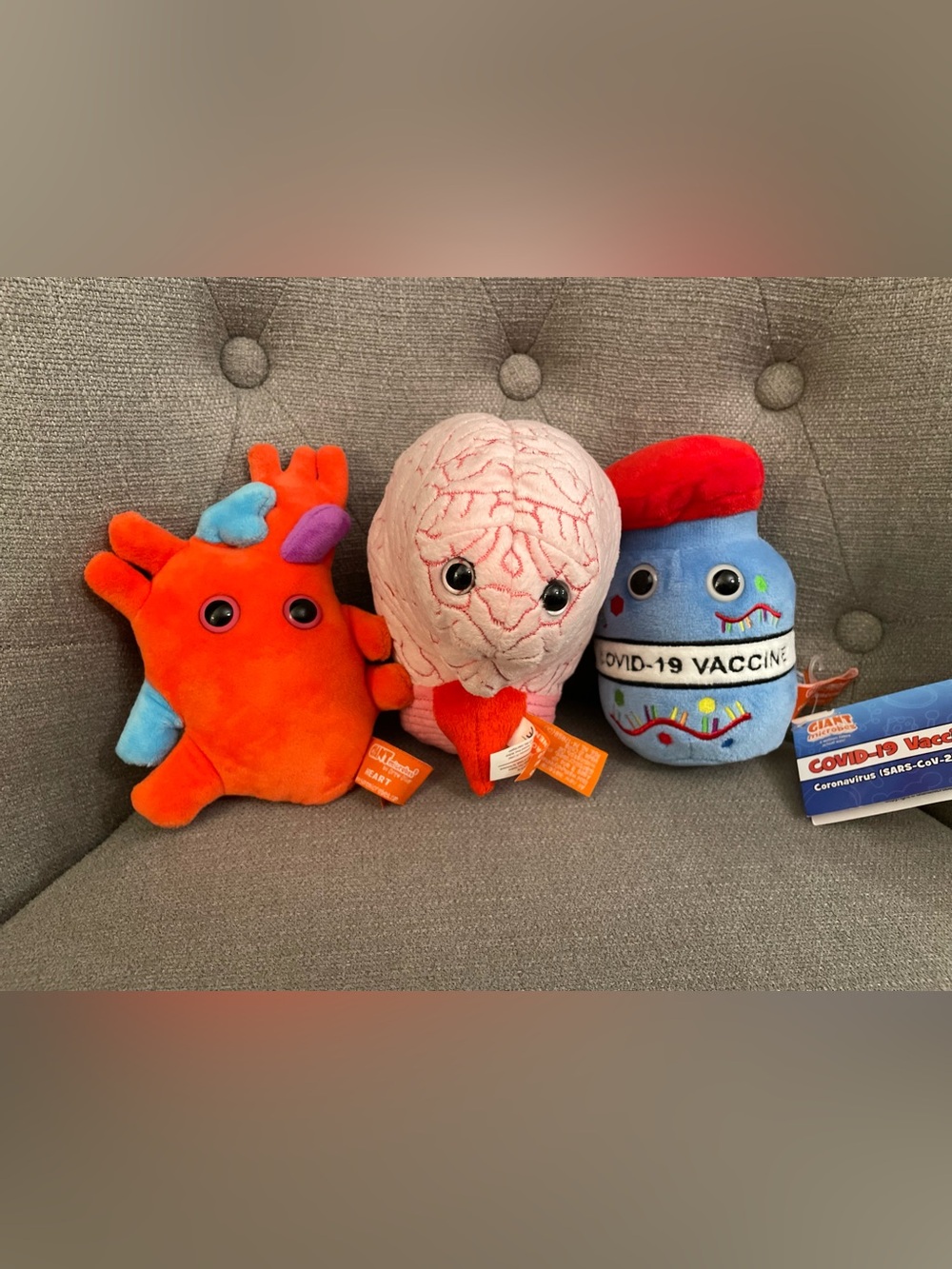 Giant Microbes stuffed heart, brain, & COVID vaccine. NWT